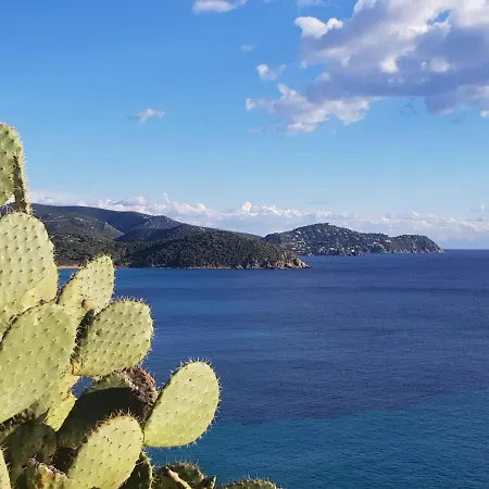 Bisu La Casa Dei Sogni *